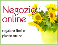 vendita fiori e piante per estate