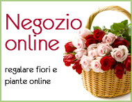 regalare fiori e piante online