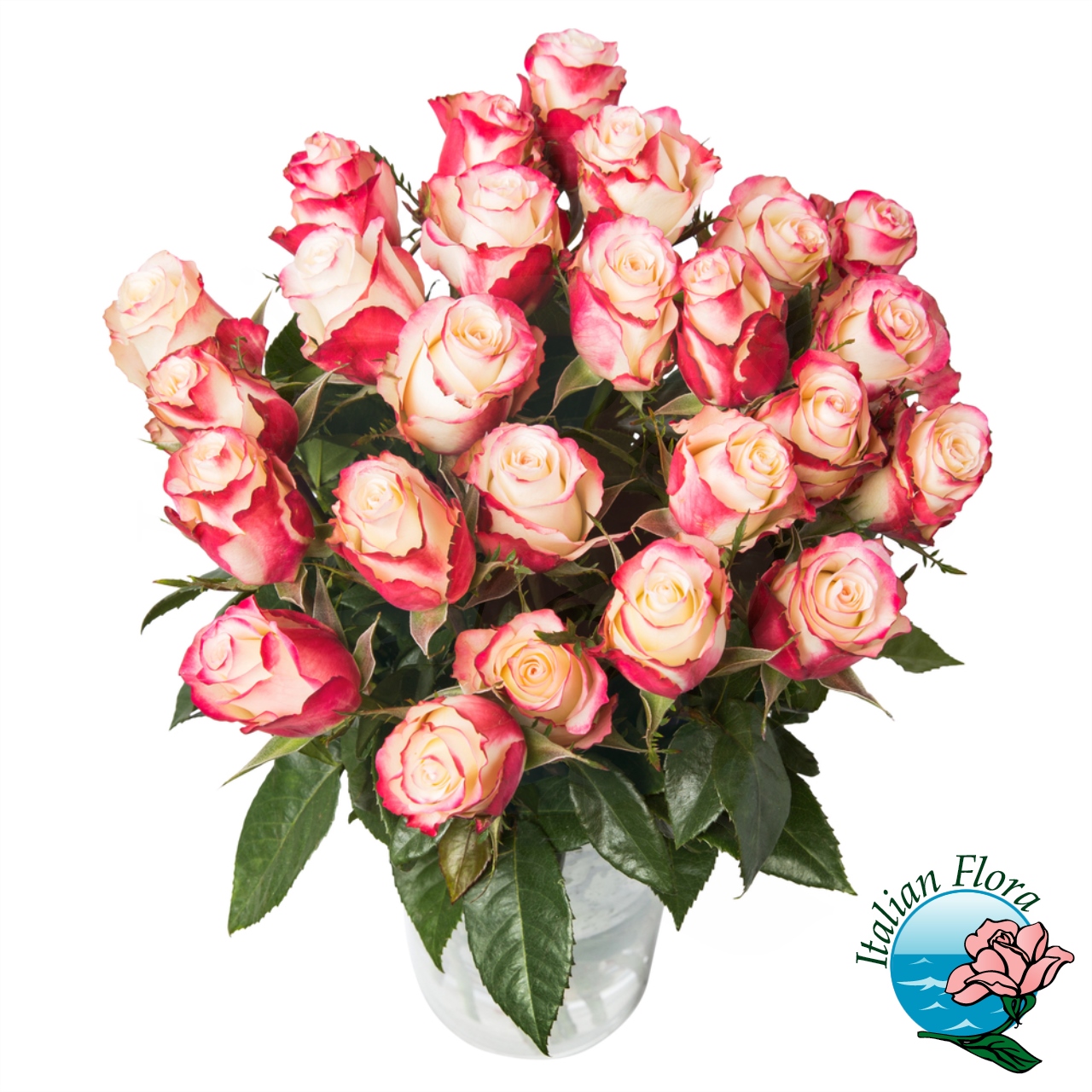 Bouquet di Rose screziate rosse o rosa
