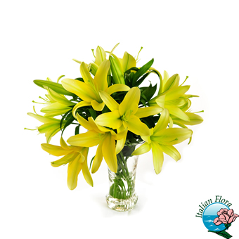 Bouquet di Gigli gialli
